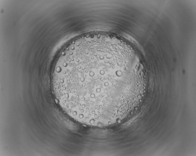 X0000060771027200512082028