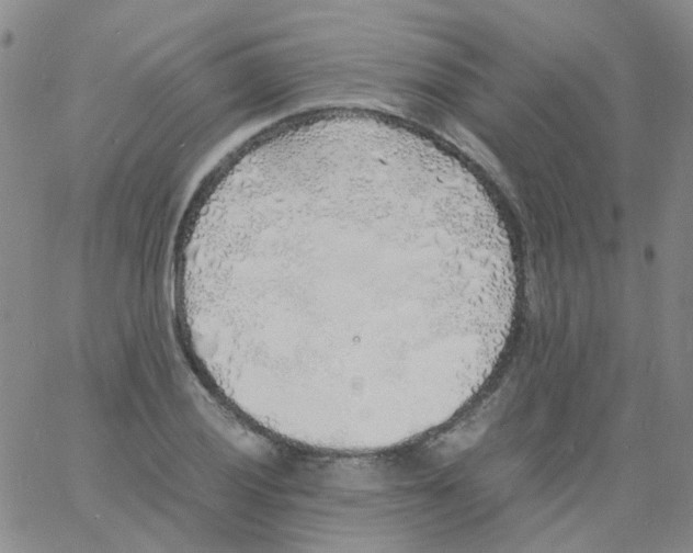 X0000060771028200512082028