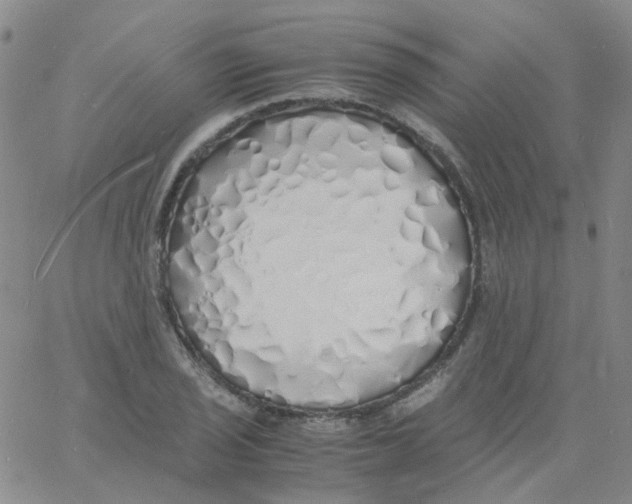 X0000060771029200512082028