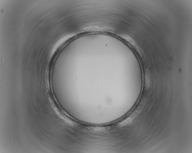 X0000060771030200512082028