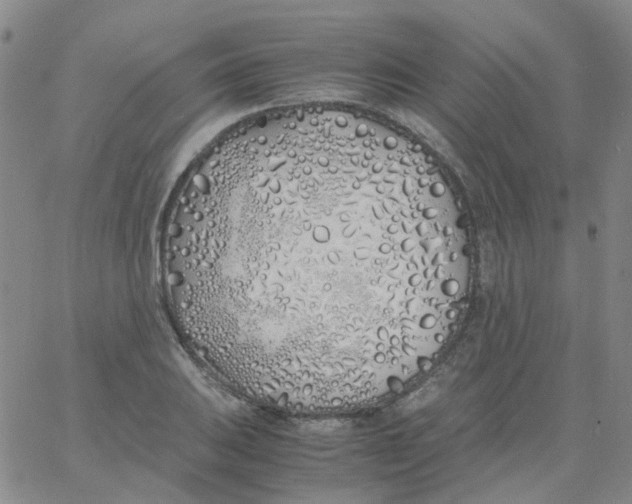 X0000060771031200512082028