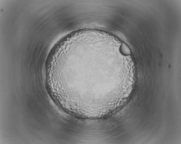 X0000060771032200512082028