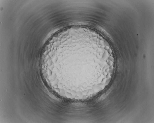 X0000060771033200512082028