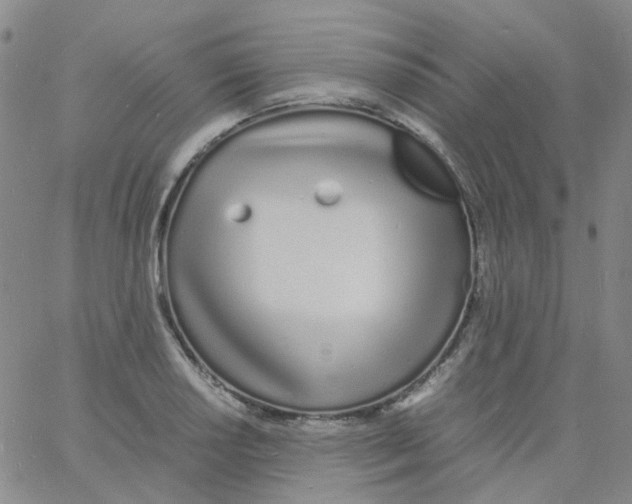 X0000060771034200512082028