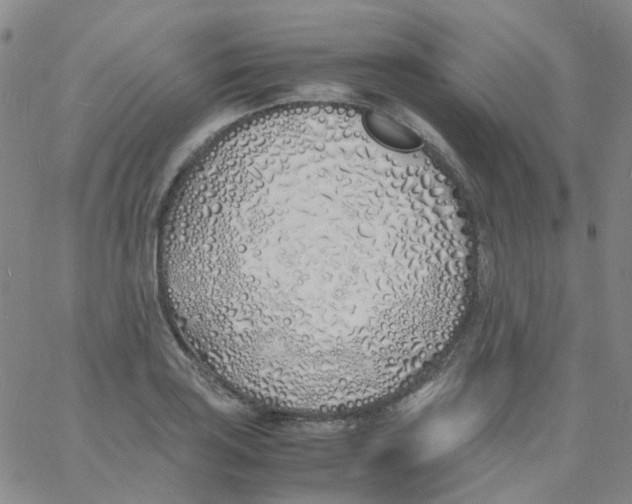 X0000060771035200512082028