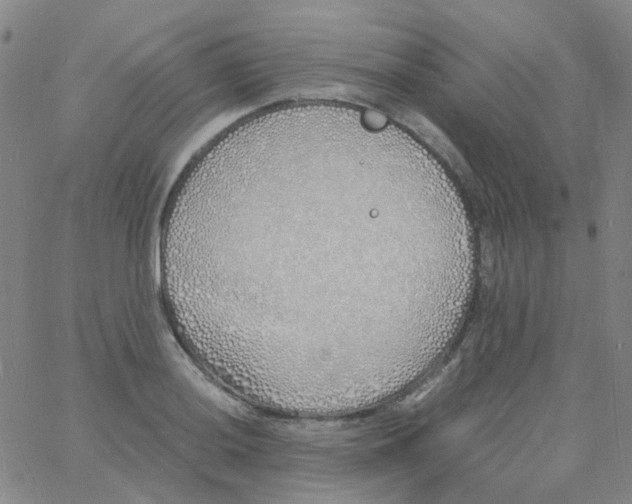 X0000060771036200512082028