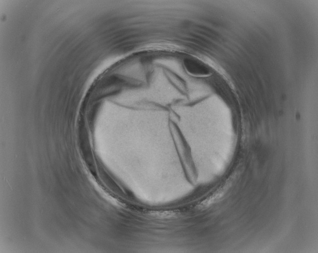 X0000060771037200512082028