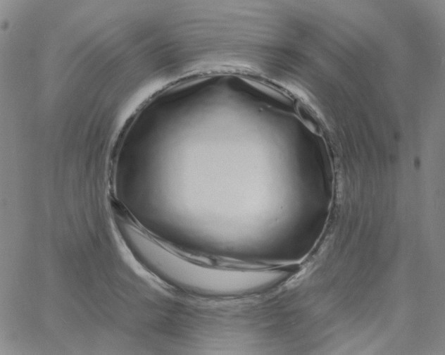 X0000060771038200512082028