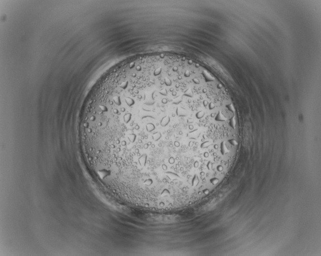 X0000060771039200512082028