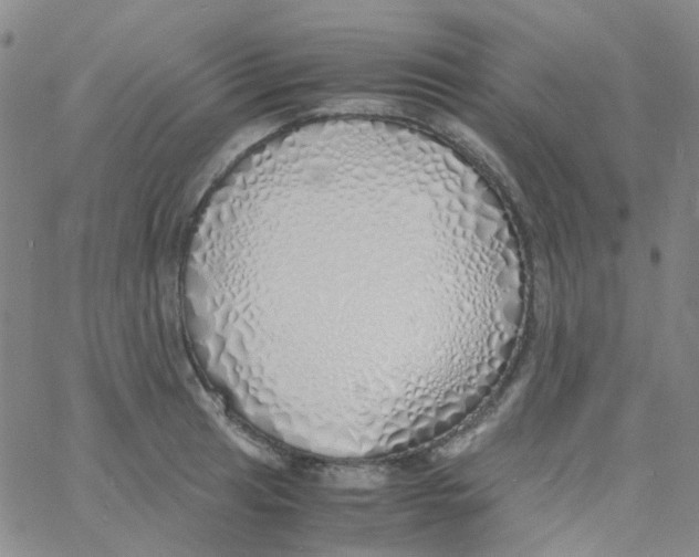 X0000060771041200512082028