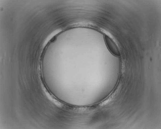 X0000060771042200512082028