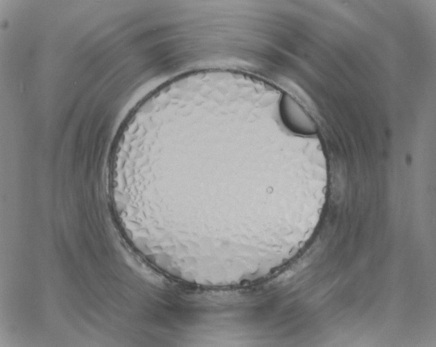 X0000060771044200512082028