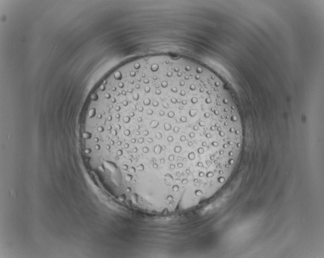 X0000060771047200512082028