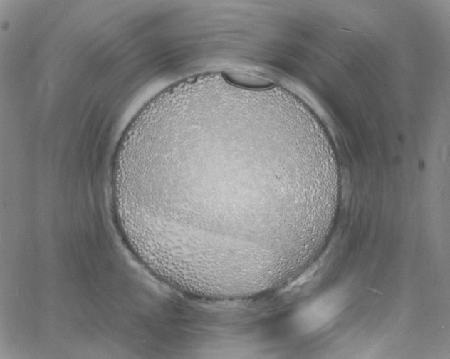 X0000060771048200512082028