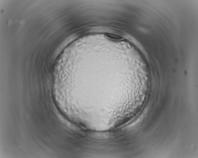 X0000060771049200512082028