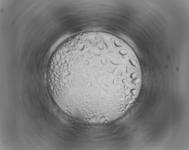 X0000060771051200512082028