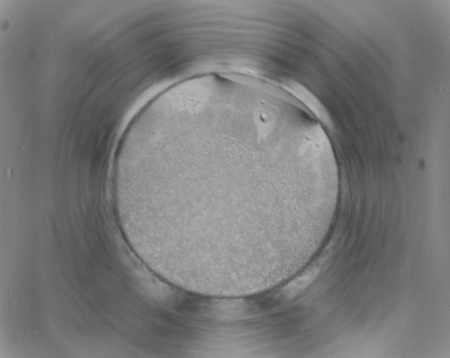 X0000060771052200512082028