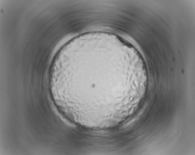 X0000060771053200512082028