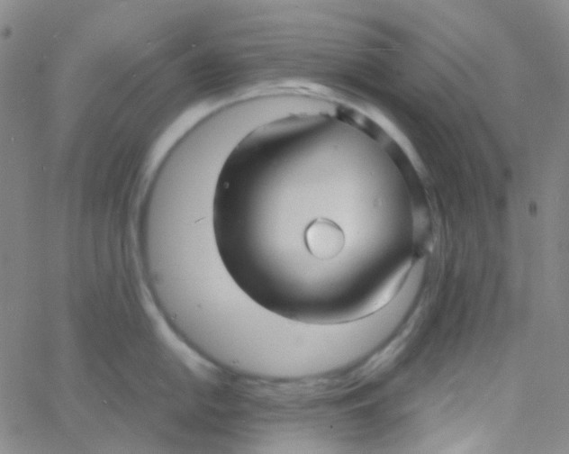 X0000060771054200512082028