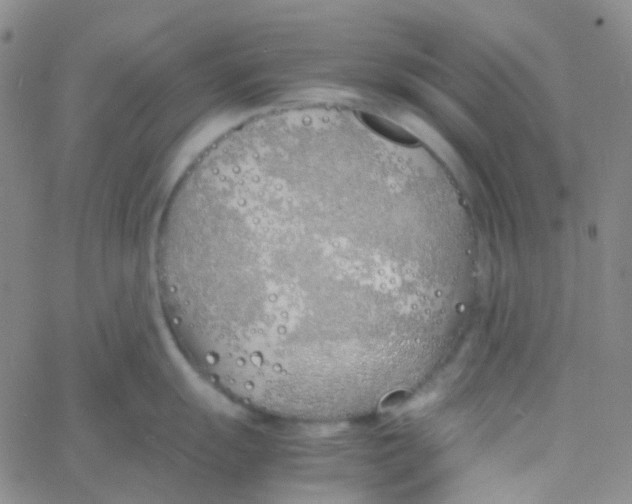 X0000060771055200512082029