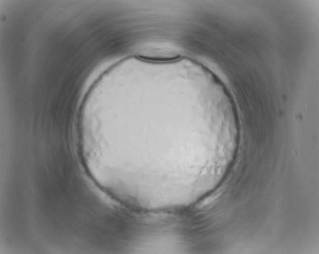 X0000060771056200512082029