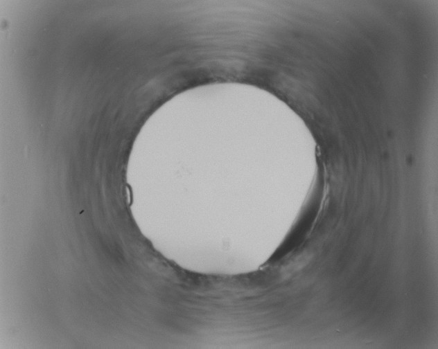 X0000060771057200512082028