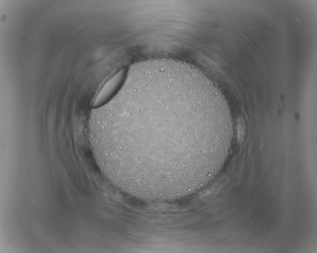 X0000060771059200512082028