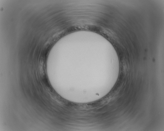 X0000060771060200512082028