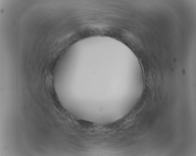 X0000060771061200512082028