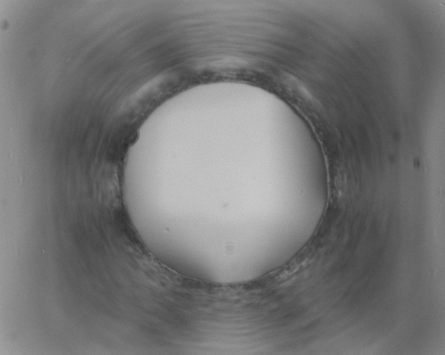 X0000060771062200512082028