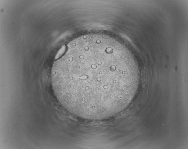 X0000060771063200512082028