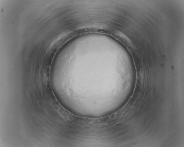 X0000060771064200512082028