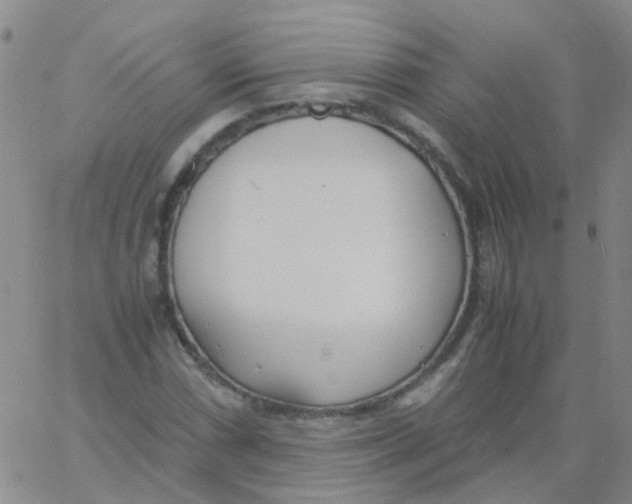 X0000060771066200512082028