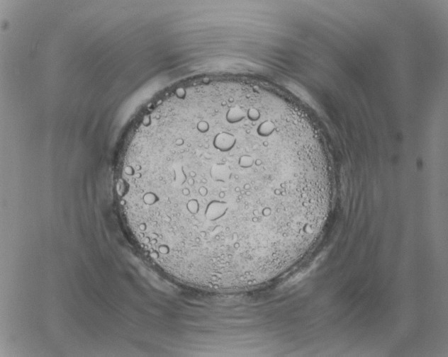 X0000060771067200512082028