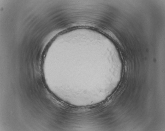 X0000060771068200512082028