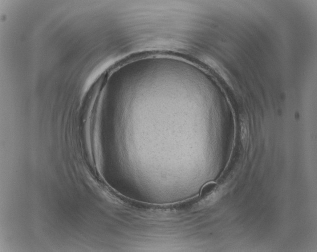 X0000060771069200512082028