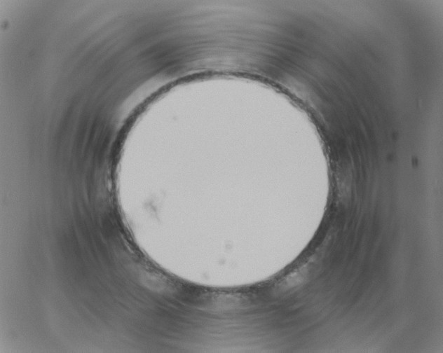 X0000060771070200512082028