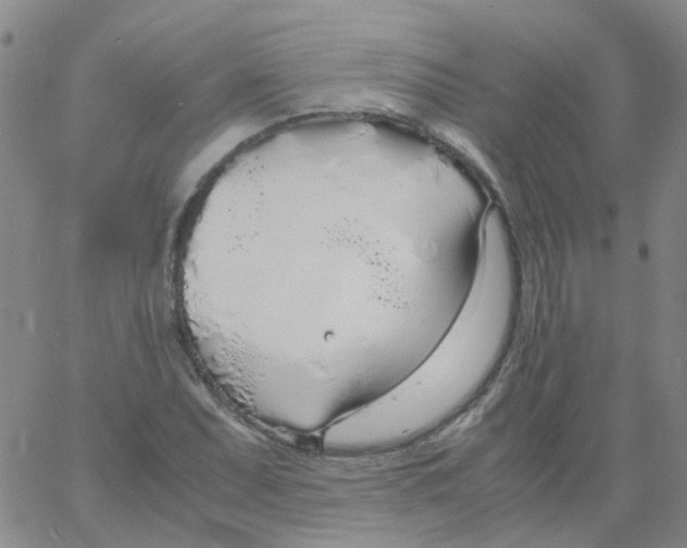 X0000060771071200512082028