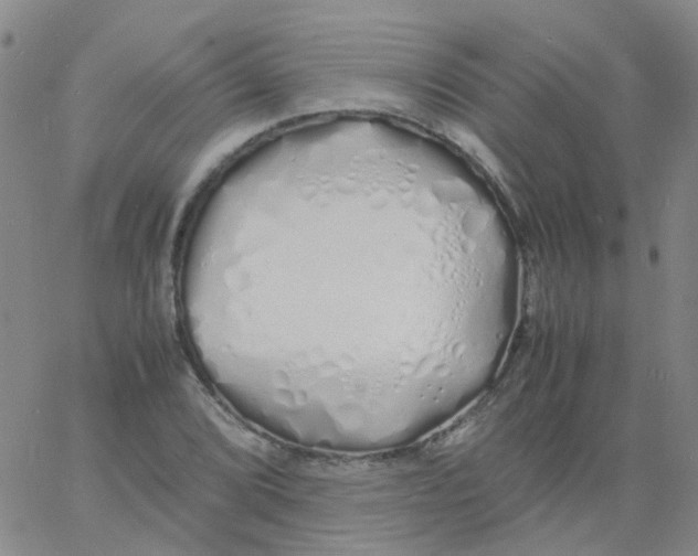 X0000060771072200512082028