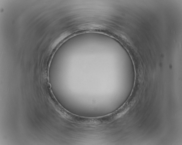 X0000060771073200512082027