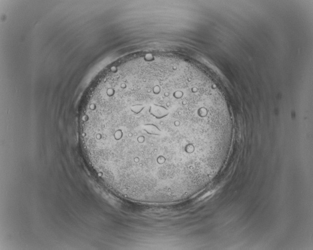 X0000060771075200512082027