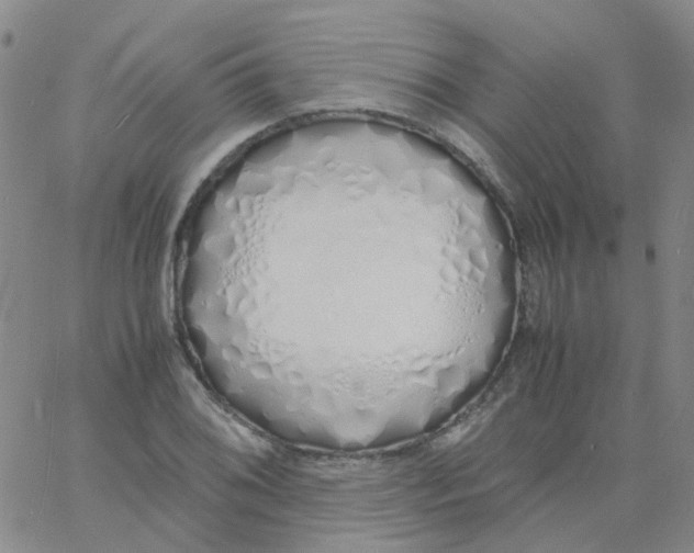 X0000060771076200512082027