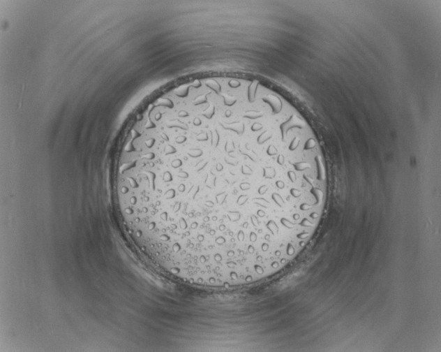 X0000060771078200512082027