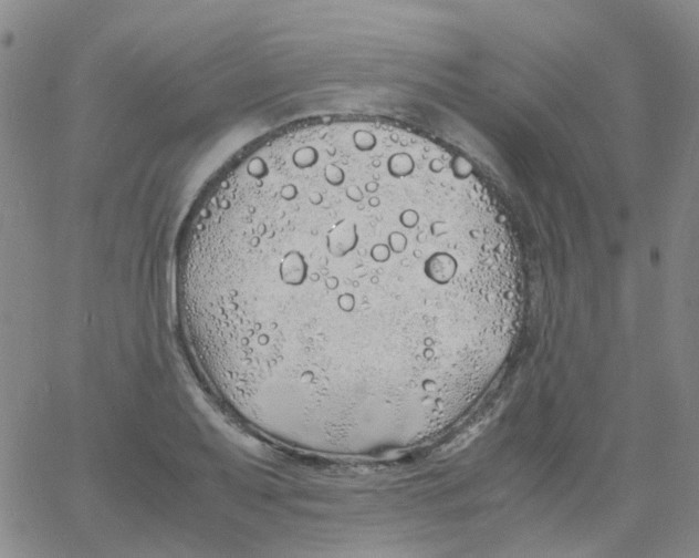 X0000060771079200512082027