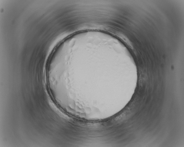 X0000060771080200512082027