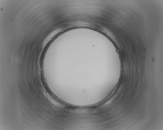 X0000060771082200512082027