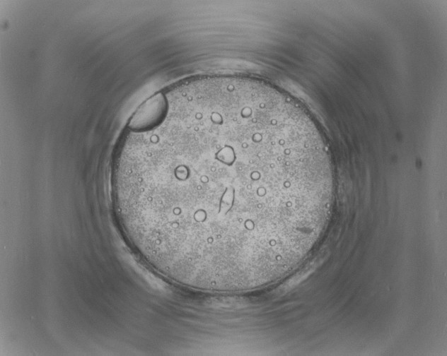 X0000060771083200512082027