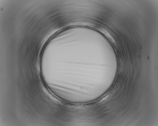 X0000060771084200512082027