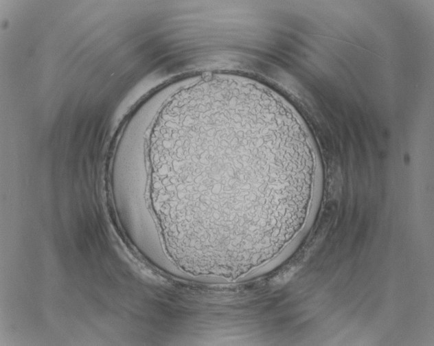 X0000060771086200512082027