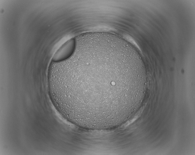 X0000060771087200512082027